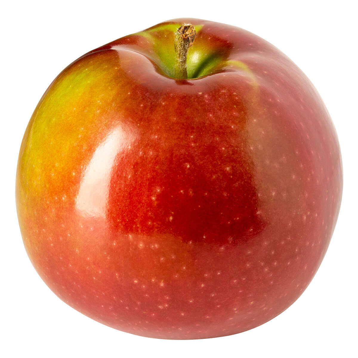 McIntosh Apple Chudleigh's